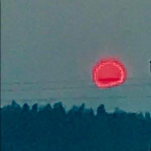 Meet your Posher, Joan